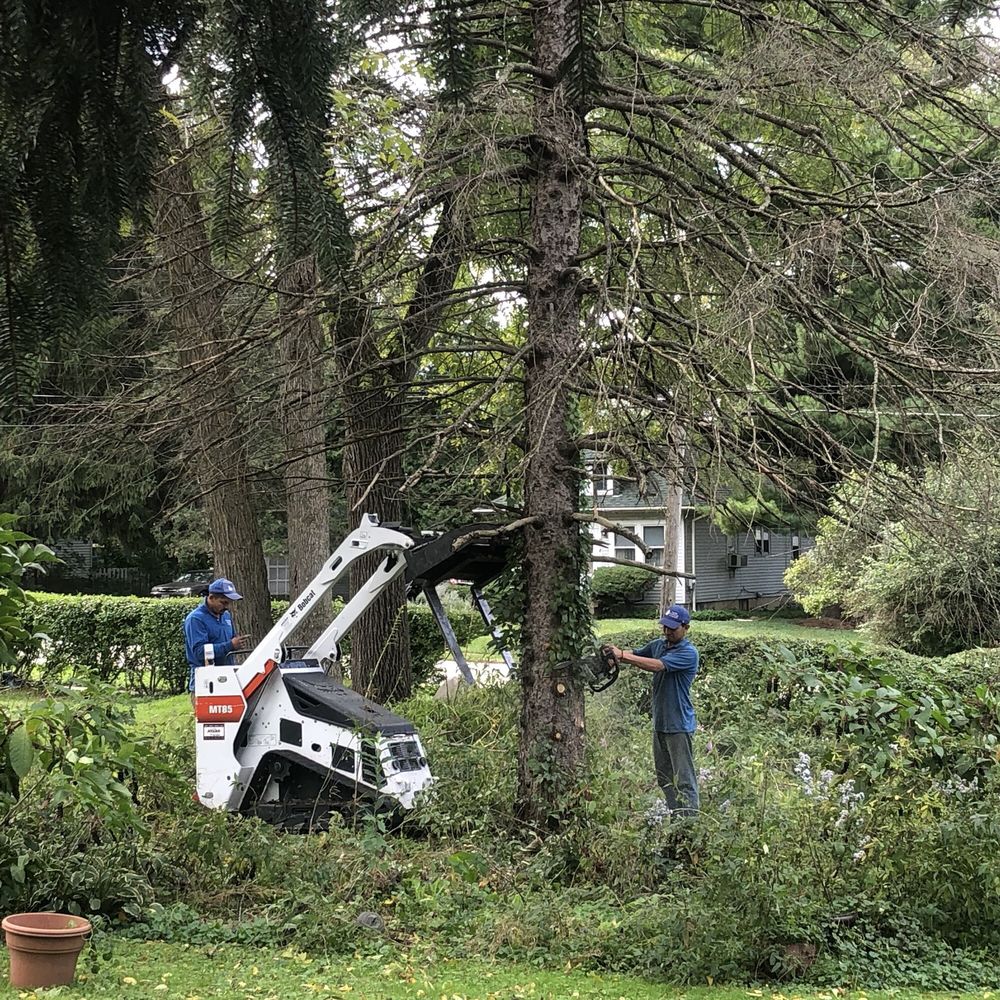 FLYING SQUIRREL TREE SERVICE & LANDSCAPING Landscaping East Dundee, IL Phone Number Yelp