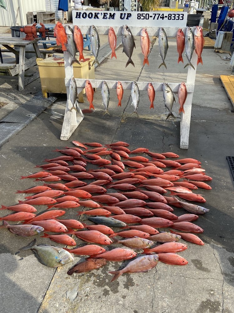 Hook'em Up Charters Logo