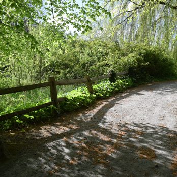 Birr Castle - Landmarks & Historical Buildings Near Me - Birr, OY