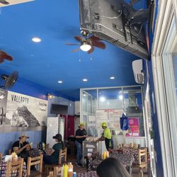 El Tacon de Marlin