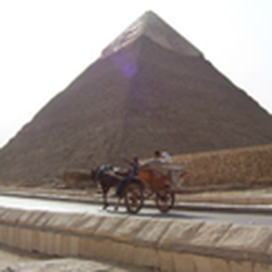 Skippack Travel
