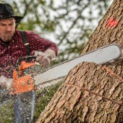 East Coast Tree Fellers
