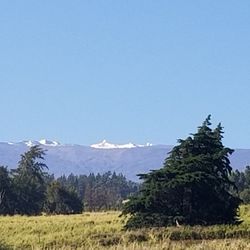 Sonoma Travel Services