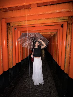 Senbon Torii (Thousand Torii Gates) by null