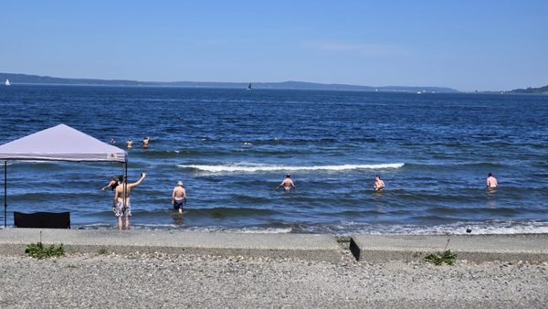 Alki Beach by null