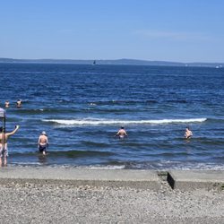 Alki Beach Park - You know it's over 75 degrees in Seattle when...