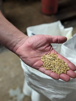 Rouge River Brewing Company by null