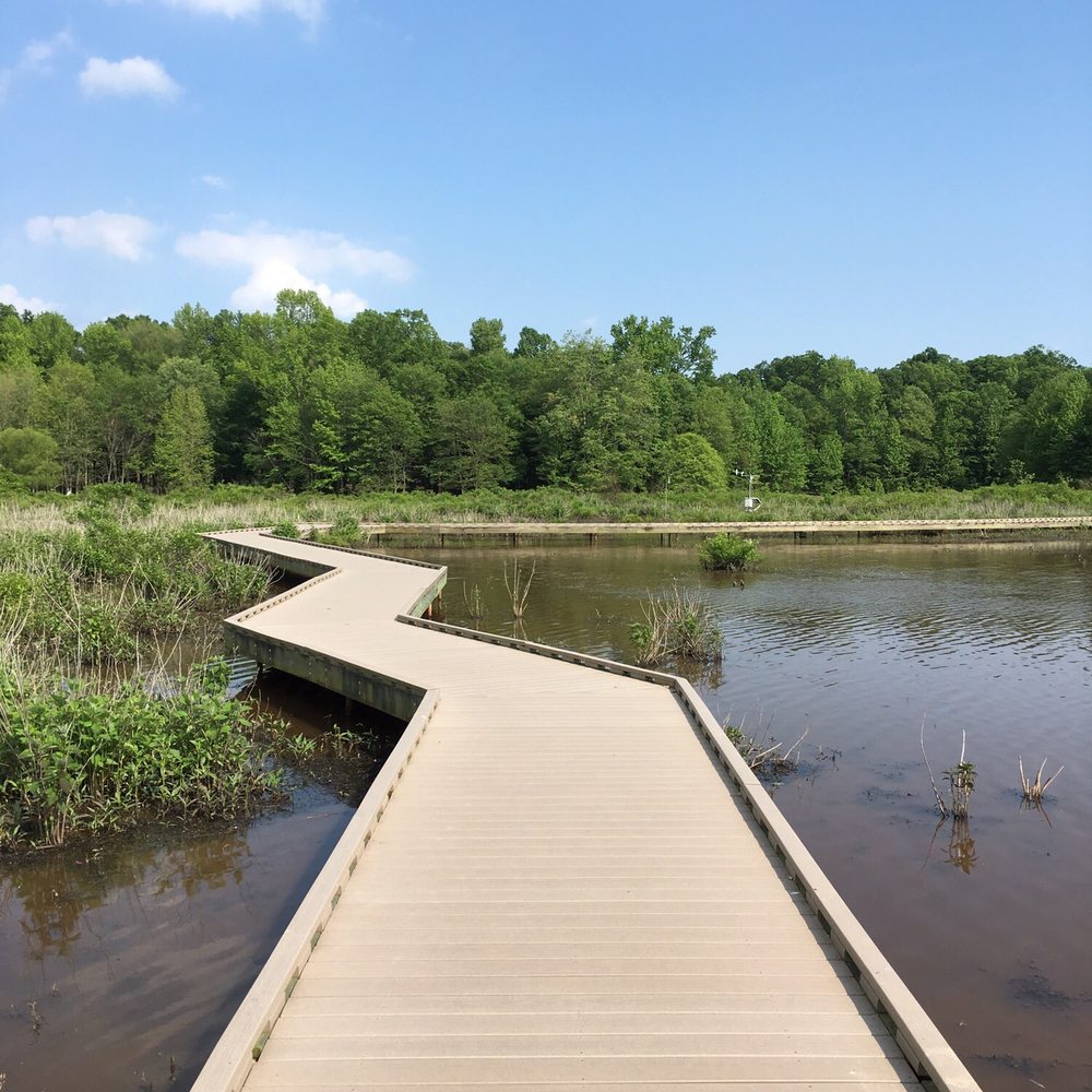 Huntley Meadows Park - Parks Near Me - Alexandria, Virginia Huntley Meadows Park - Parks Near Me - Alexandria, Virginia