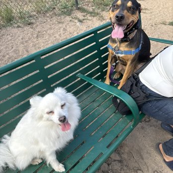 Premier Pawsitter - Dog Walkers Near Me Premier Pawsitter - Dog Walkers Near Me