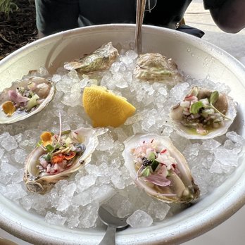 Da Gama - Oysters (on special menu) - Indian Near Me - Houston, Texas