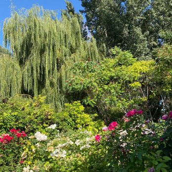 Lavender House - Lavender House gardens, first part of September - Venues & Event Spaces Near Me - Bear River City, Utah Lavender House - Lavender House gardens, first part of September - Venues & Event Spaces Near Me - Bear River City, Utah