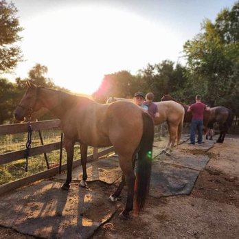 Maverick Horseback Riding - Horseback Riding Near Me - Austin, Texas Maverick Horseback Riding - Horseback Riding Near Me - Austin, Texas