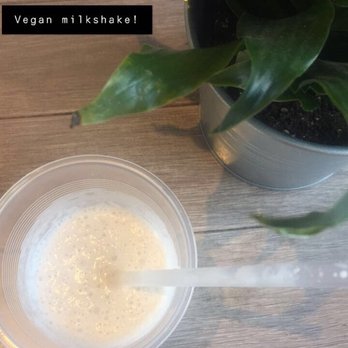 Hummus Republic - Vegan vanilla milkshake sample - Mediterranean Near Me - Burbank, California Hummus Republic - Vegan vanilla milkshake sample - Mediterranean Near Me - Burbank, California