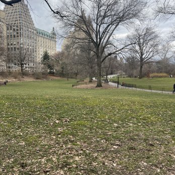 Central Park Conservancy - Parks Near Me - New York, New York Central Park Conservancy - Parks Near Me - New York, New York