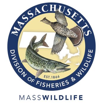 Critter Catchers - We are an Agent for the Massachusetts Division of Fish and Wildlife - Pest Control Near Me Critter Catchers - We are an Agent for the Massachusetts Division of Fish and Wildlife - Pest Control Near Me
