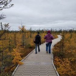 Big Bog State Recreation Area - Bog path