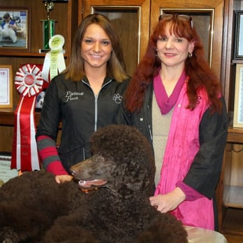The Platinum Pooch - Come experience award worthy, personalized pet styling in a quiet and clean salon. Dogs, Cats, Geriatrics, Special Needs, & Hard to Handle. - Pet Groomers Near Me - Verona, Pennsylvania The Platinum Pooch - Come experience award worthy, personalized pet styling in a quiet and clean salon. Dogs, Cats, Geriatrics, Special Needs, & Hard to Handle. - Pet Groomers Near Me - Verona, Pennsylvania