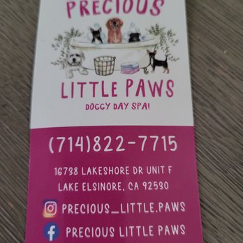 Precious Little Paws - Pet Groomers Near Me - Lake Elsinore, California Precious Little Paws - Pet Groomers Near Me - Lake Elsinore, California