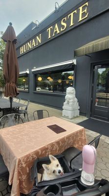 Hunan Taste Montclair by null