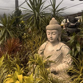 Flamingo Road Nursery - Nurseries & Gardening Near Me - Davie, Florida Flamingo Road Nursery - Nurseries & Gardening Near Me - Davie, Florida