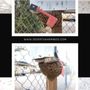 Photo of Desert Swarm Bee Removal