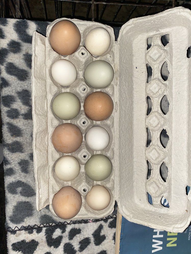 NIA’S FARMLAND EGG’S Montgomery, Alabama Farmers Market Phone