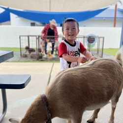Lil Blue Heartwood Preschool - Farm Animal Day!
