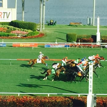 Gulfstream Park - Winner winner chicken dinner! - Casinos Near Me - Hallandale Beach, Florida