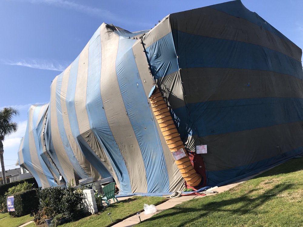 ANDY’S TERMITE AND PEST CONTROL 40 Photos & 106 Reviews 25030