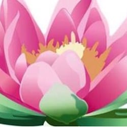 Achieve Balance Holistic Health - Enjoy living ... in balance!
