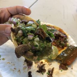 Lengua