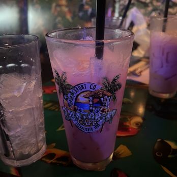 Rainforest Cafe - American Near Me - Sunrise, Florida