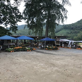 Darnell Farms - Fruits & Veggies Near Me - Bryson City, North Carolina Darnell Farms - Fruits & Veggies Near Me - Bryson City, North Carolina