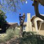 Photo of Jorge Pro Landscaping