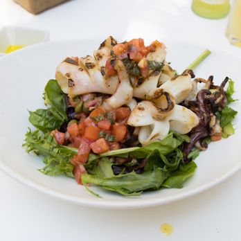 Terroni - grilled calamari salad - Italian Near Me - Toronto, Ontario Terroni - grilled calamari salad - Italian Near Me - Toronto, Ontario