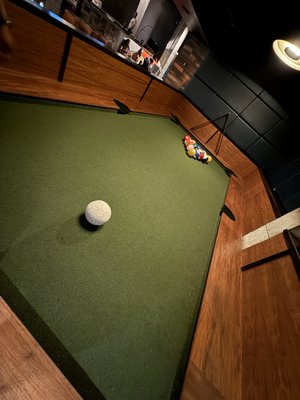 The Painted Duck by null