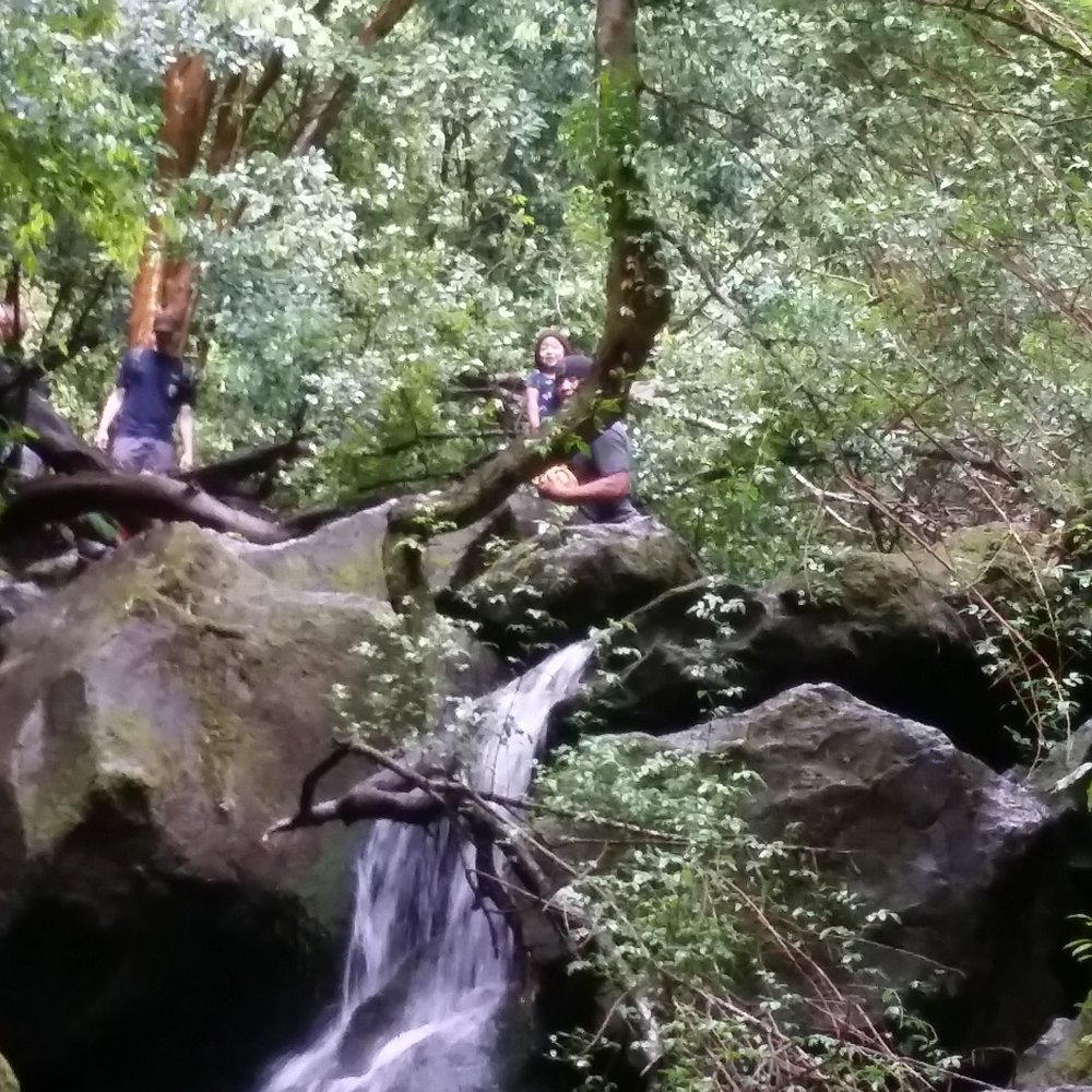 Lulumahu Falls - The mini falls. - Hiking Near Me - Honolulu, Hawaii