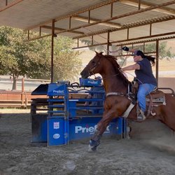 Bassos Arena - Bassos arena Inderbitzen Ranch Team Roping