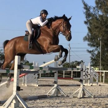 Serenity Show Stables - Horseback Riding Near Me - Miami, Florida Serenity Show Stables - Horseback Riding Near Me - Miami, Florida
