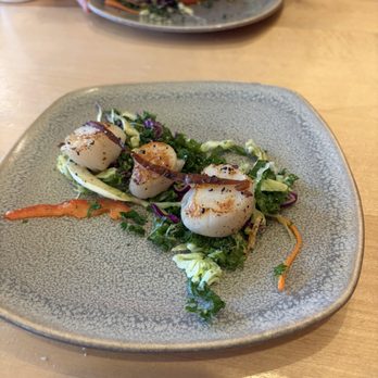 Turkey Red - Alaska scallops - Bakeries Near Me - Palmer, Alaska