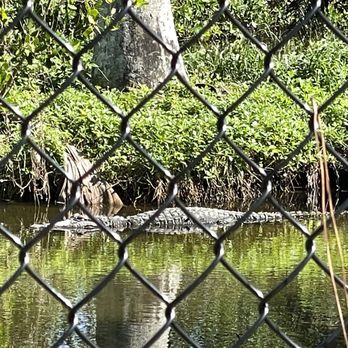 Naples Zoo - Zoos Near Me - Naples, Florida
