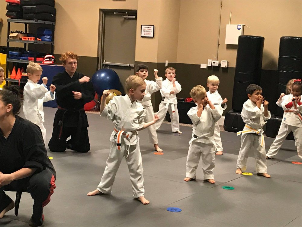 Innovative Martial Arts Academy Logo