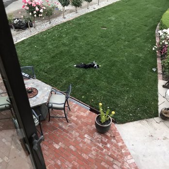 GCG Landscaping & Masonry - My dog even loves it! - Masonry/Concrete Near Me GCG Landscaping & Masonry - My dog even loves it! - Masonry/Concrete Near Me