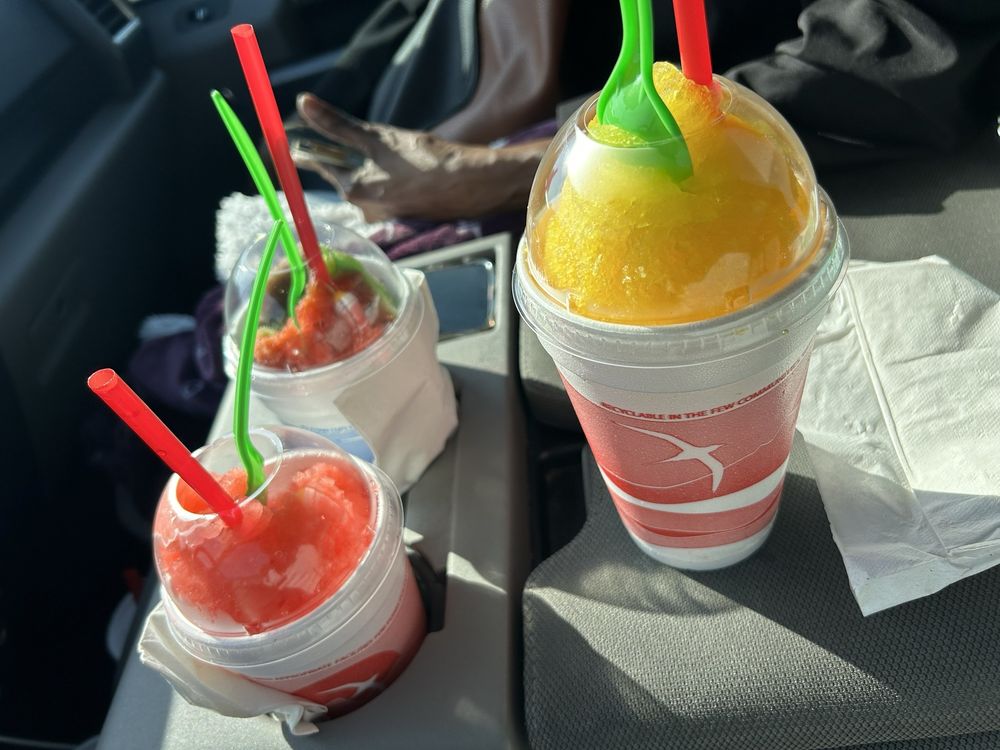 Southern Tropics Logo