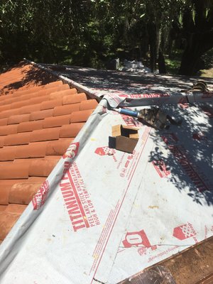 Don Juan Roofing and Painting Logo