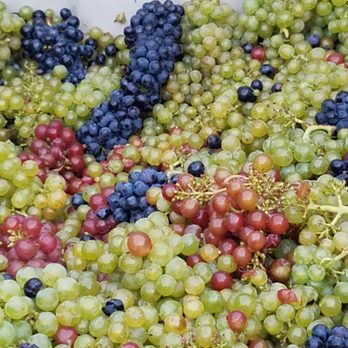 ARCHIPELAGO BEVERAGE COMPANY - Yes, all hand-picked.
By us. - Wineries Near Me - Friday Harbor, Washington ARCHIPELAGO BEVERAGE COMPANY - Yes, all hand-picked.
By us. - Wineries Near Me - Friday Harbor, Washington