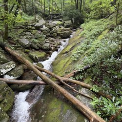 Margarette Falls Trail - Creek along trail