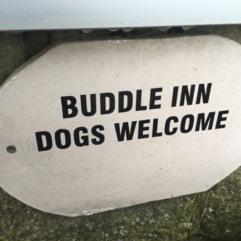 Buddle Inn - Pubs Near Me - Ventnor, IOW Buddle Inn - Pubs Near Me - Ventnor, IOW