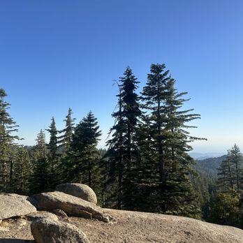 Sunset Campground - Campgrounds Near Me - Grant Grove, California