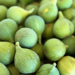 Pinyon - Fresh figs from the Farmer's Market.